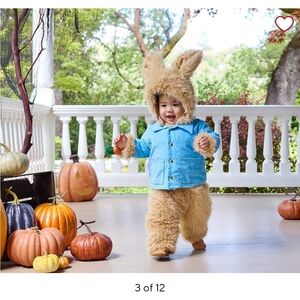 Pottery Barn Kids Tan Bunny Costume with Blue Jacket